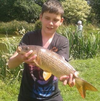 David  carp taken on hired rods