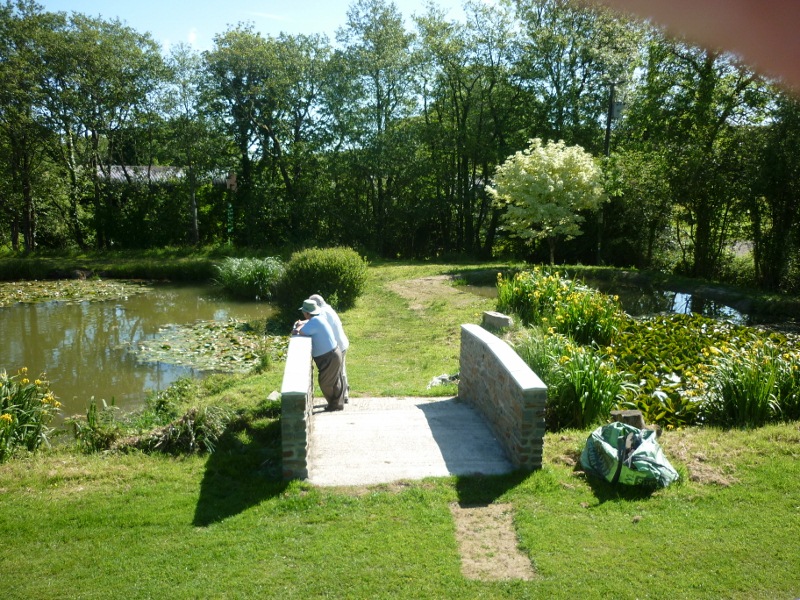 New bridge at the fishery 